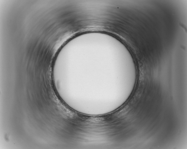 X0000103931325200810031250