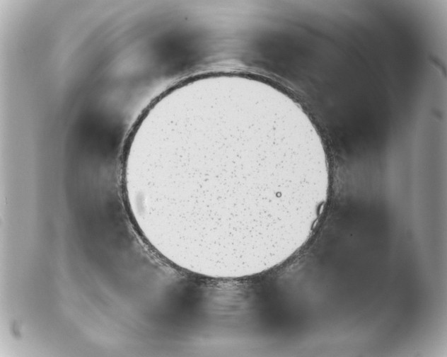X0000103931326200810031250