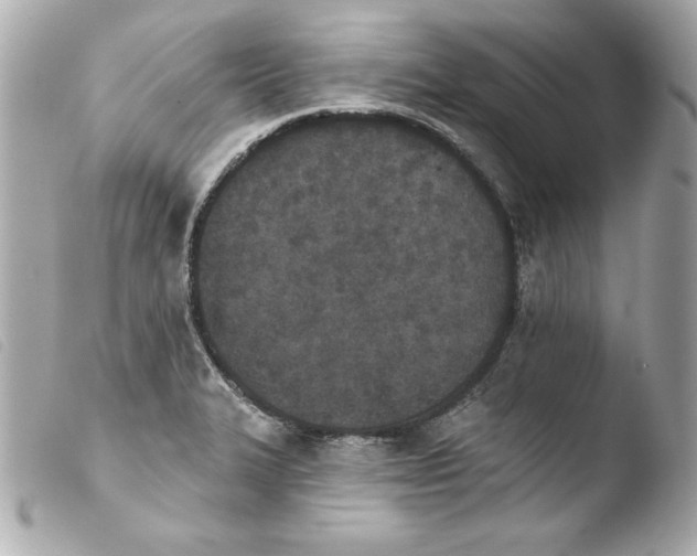 X0000103931327200810031250