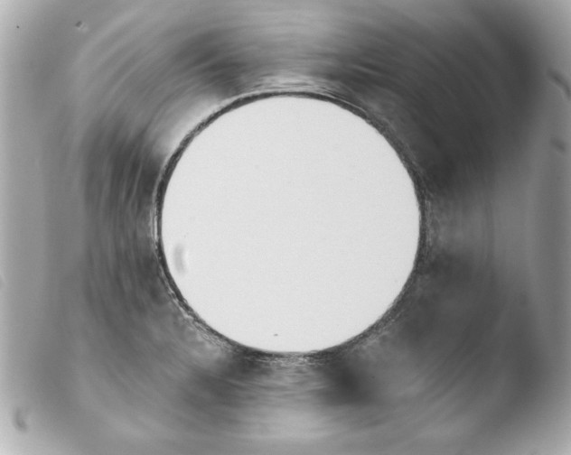 X0000103931328200810031250
