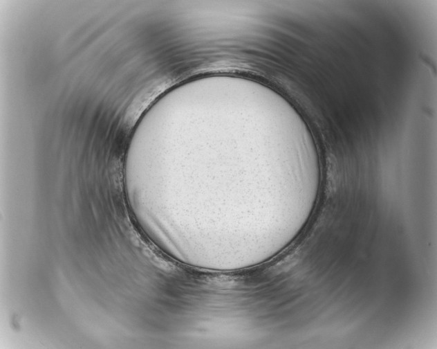 X0000103931329200810031250