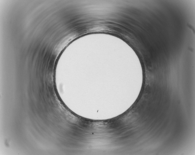 X0000103931330200810031250