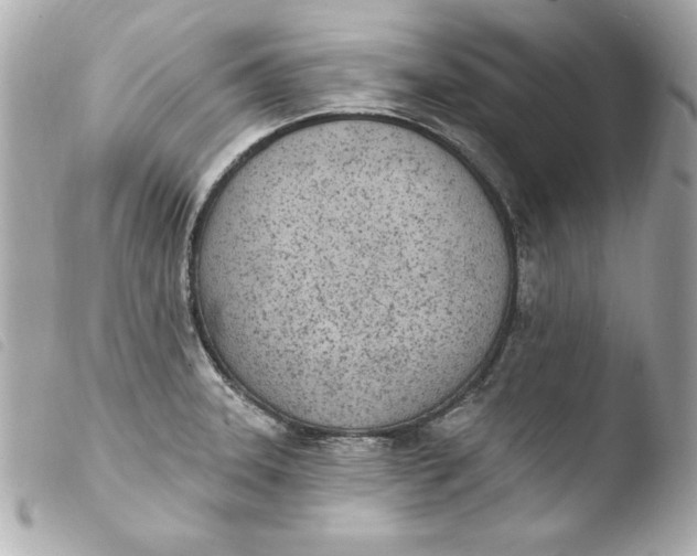 X0000103931331200810031250