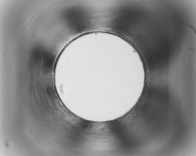 X0000103931332200810031250