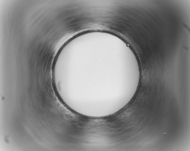 X0000103931335200810031250