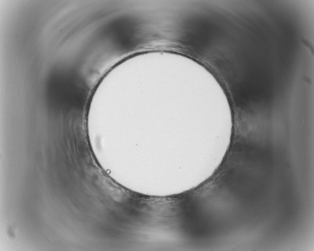 X0000103931336200810031250