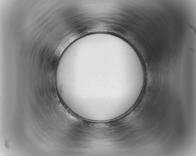 X0000103931337200810031250