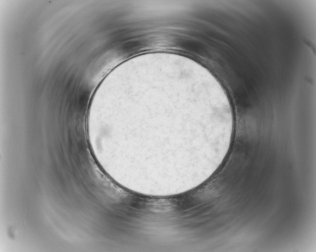X0000103931338200810031250