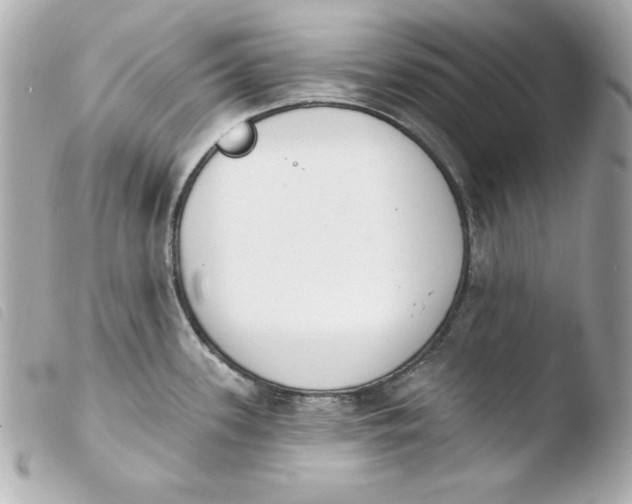 X0000103931339200810031250