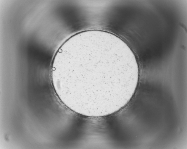 X0000103931340200810031250
