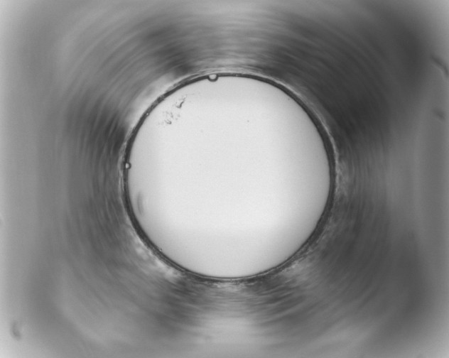 X0000103931341200810031250