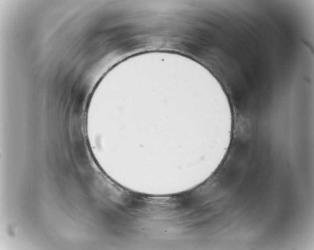 X0000103931342200810031250