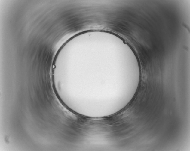 X0000103931343200810031250