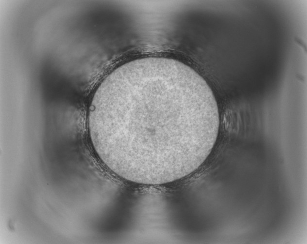 X0000103931348200810031249