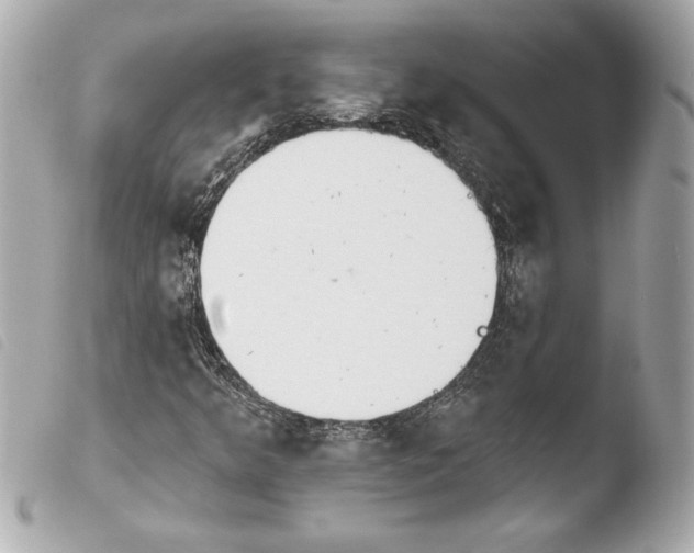 X0000103931349200810031249