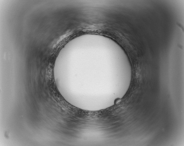 X0000103931350200810031249