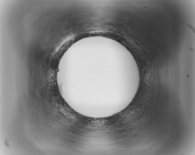 X0000103931351200810031249