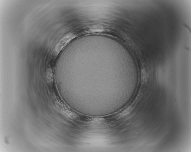 X0000103931353200810031249