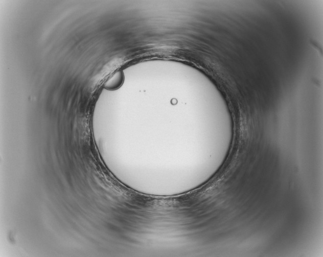 X0000103931354200810031249