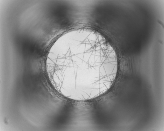 X0000103931356200810031249