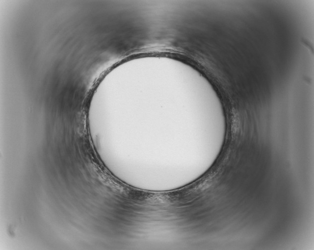 X0000103931358200810031249