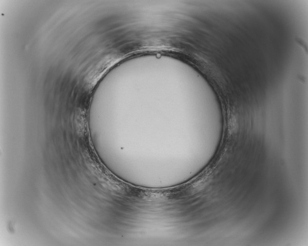 X0000103931361200810031249