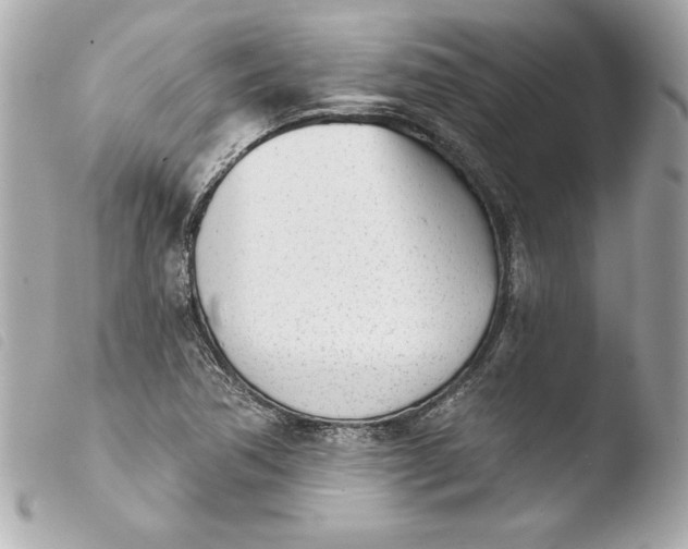 X0000103931362200810031249