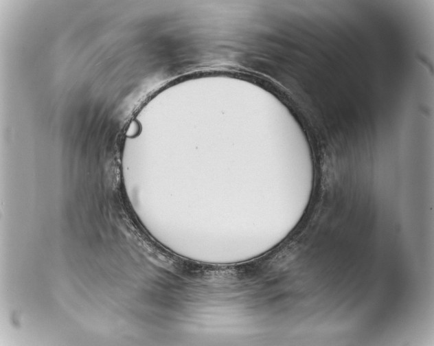X0000103931363200810031249