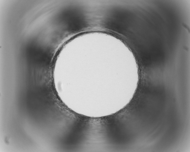 X0000103931364200810031249