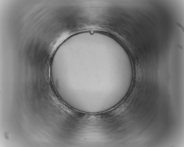 X0000103931365200810031249