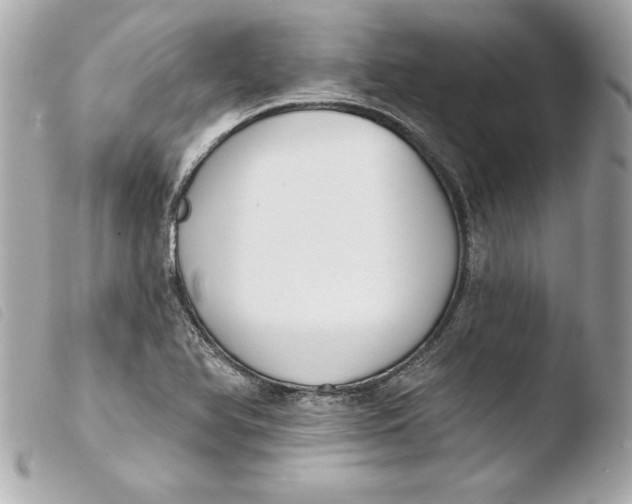 X0000103931366200810031249