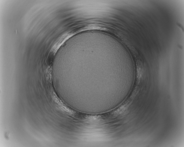 X0000103931369200810031249