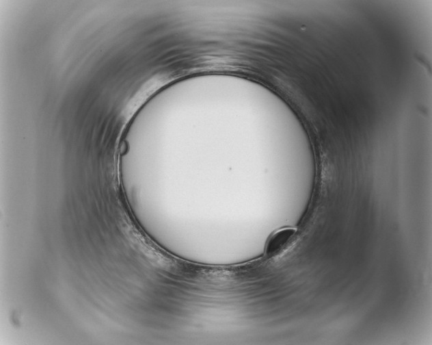 X0000103931370200810031249
