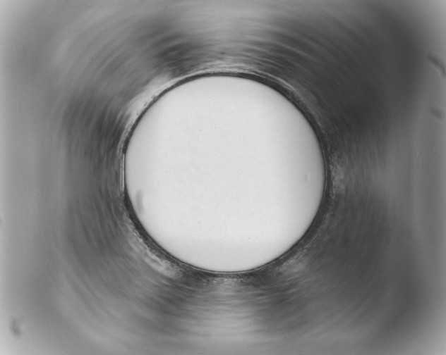 X0000103931371200810031249