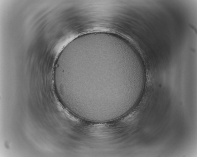 X0000103931373200810031249