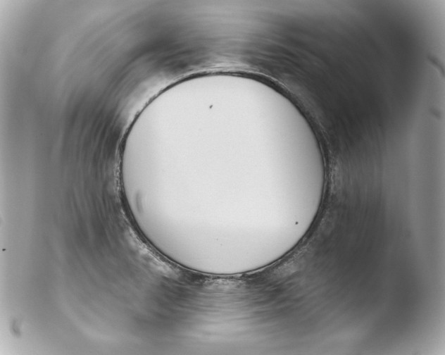 X0000103931374200810031249