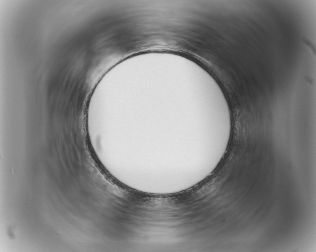 X0000103931375200810031249