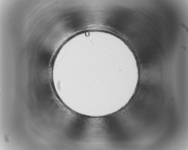 X0000103931376200810031249