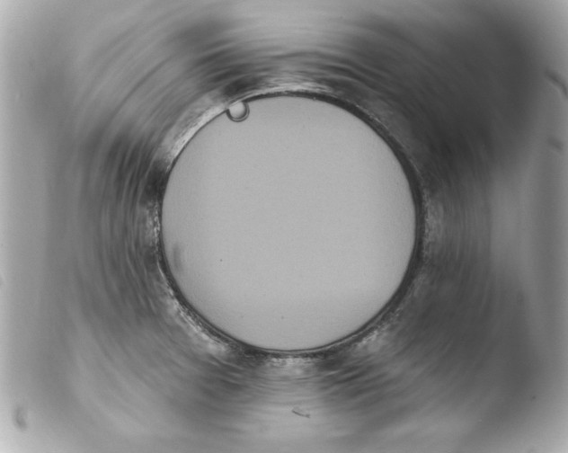 X0000103931377200810031249