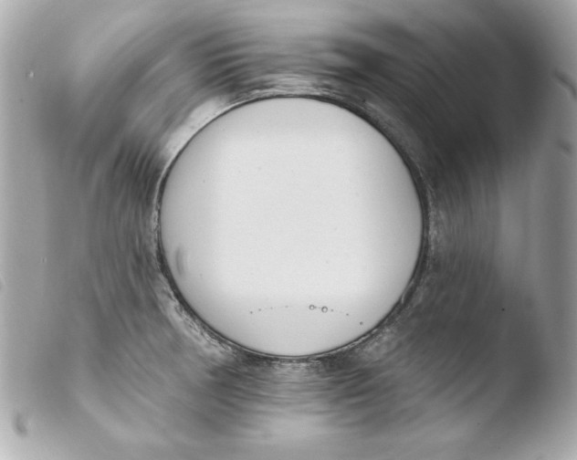 X0000103931378200810031249