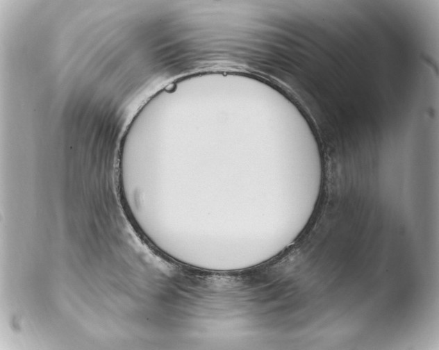 X0000103931379200810031249