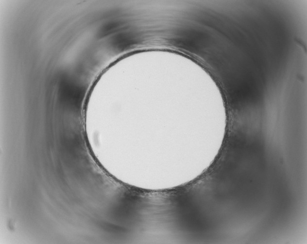 X0000103931380200810031249