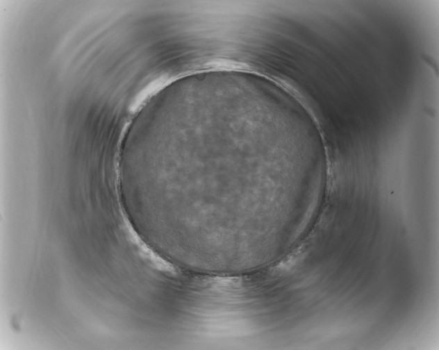 X0000103931381200810031249