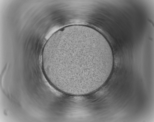 X0000103931383200810031249