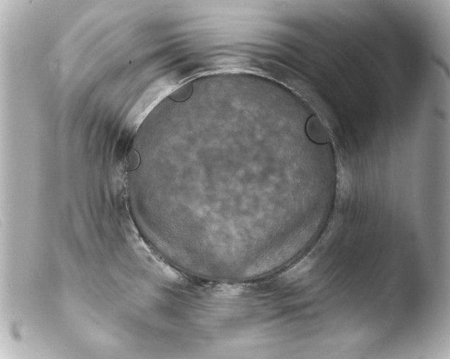 X0000103931385200810031249
