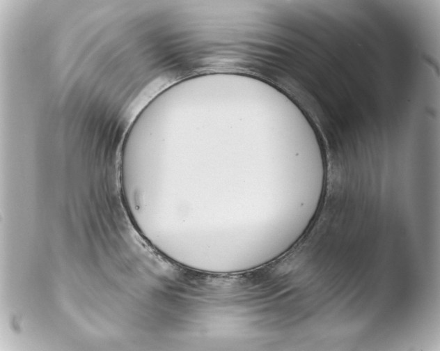 X0000103931386200810031249