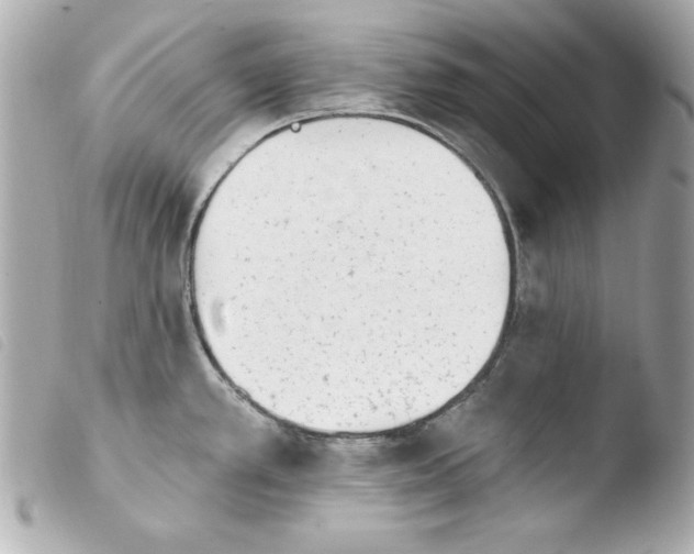 X0000103931389200810031249