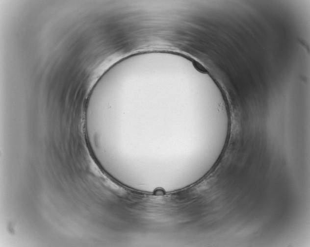 X0000103931390200810031249
