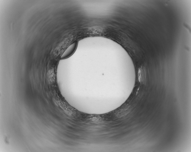 X0000103931395200810031248