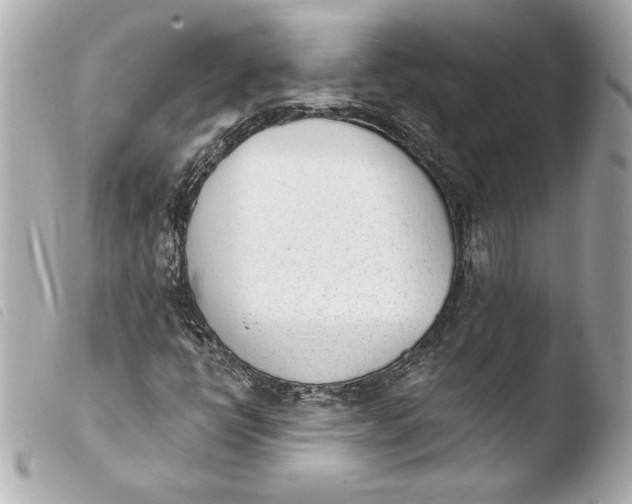 X0000103931398200810031248
